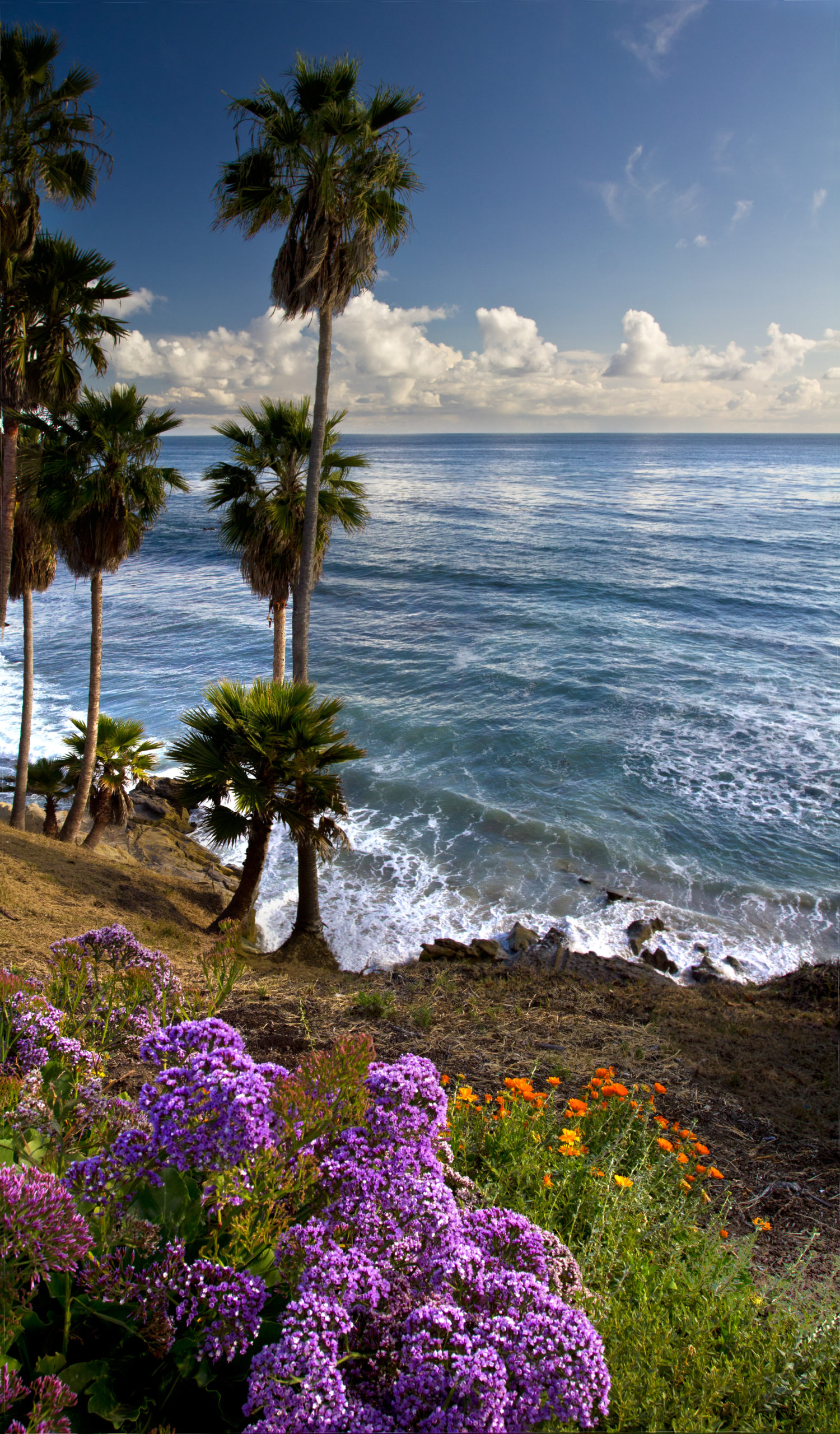 Laguna Beach, CA Rehab